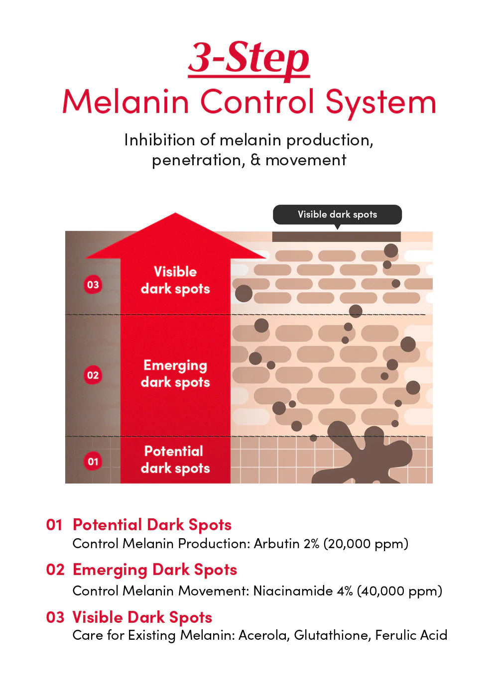 Eqqualberry Vitamin Illuminating Serum - 30ml